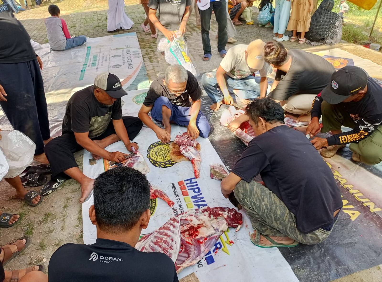 Foto Dokumentasi Prosesi Penyembelihan dan Pendistribusian Hewan Qurban Hari Raya Idul Adha 1446 H