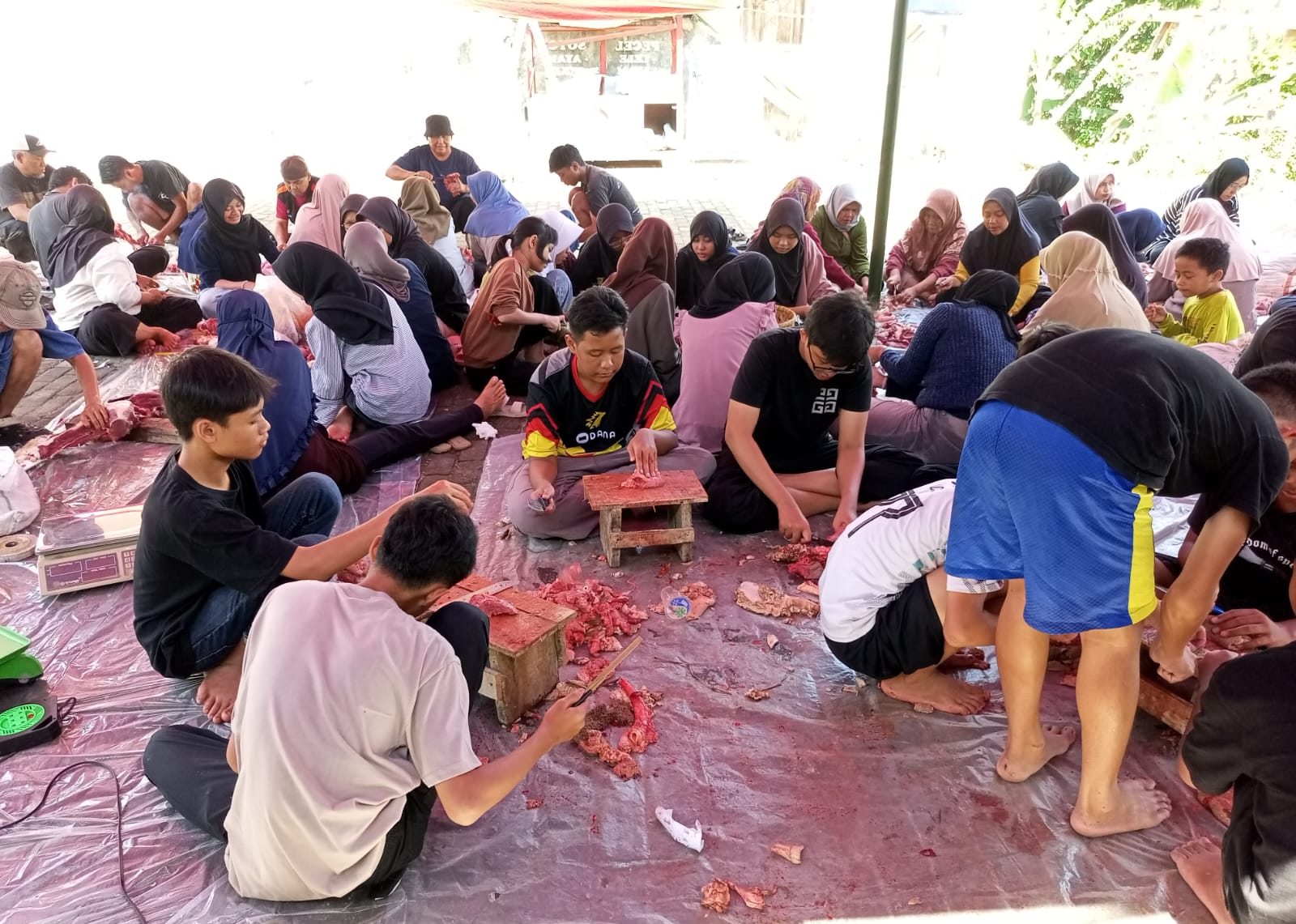 Foto Galeri