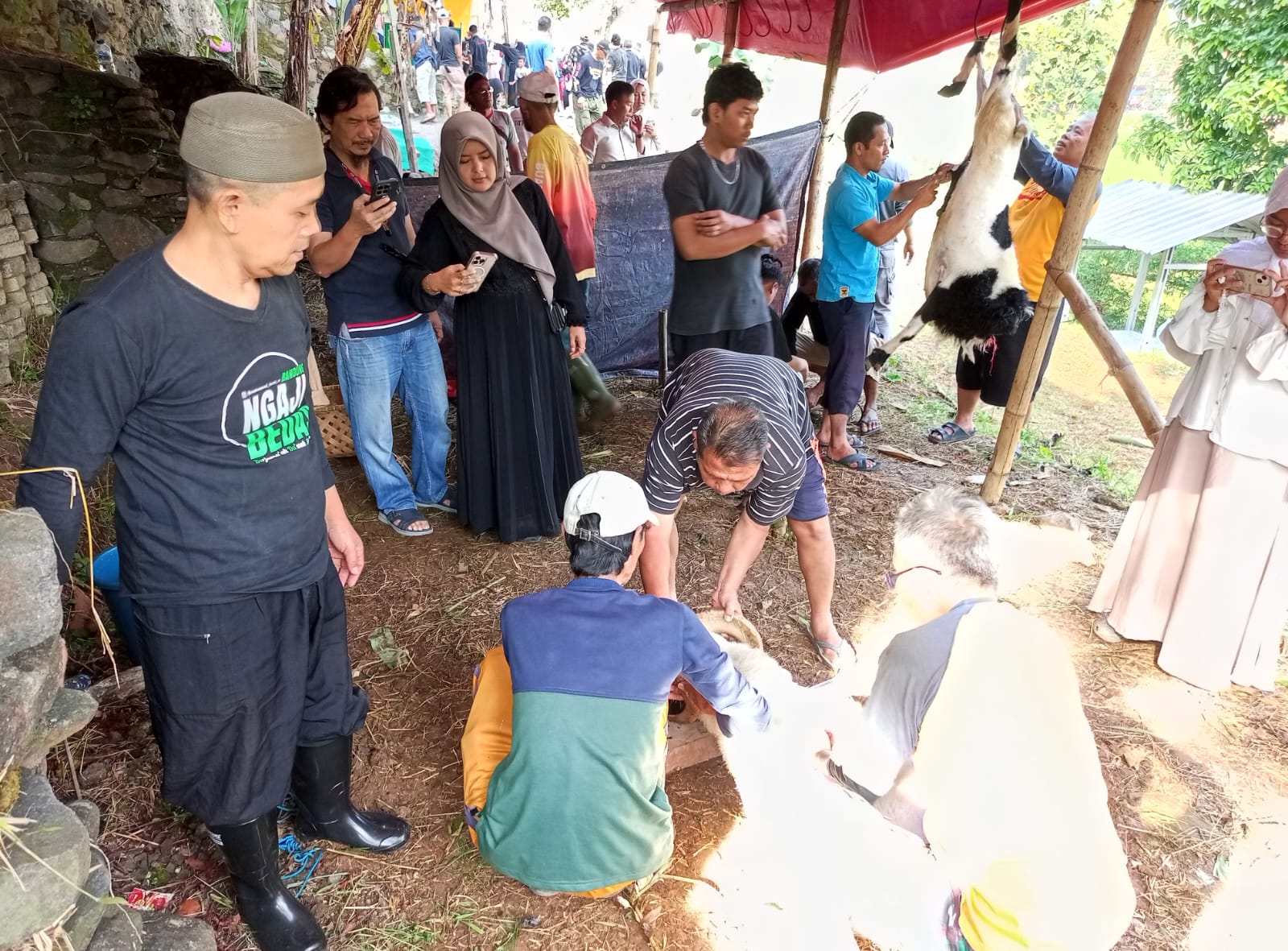 Foto Dokumentasi Prosesi Penyembelihan dan Pendistribusian Hewan Qurban Hari Raya Idul Adha 1446 H